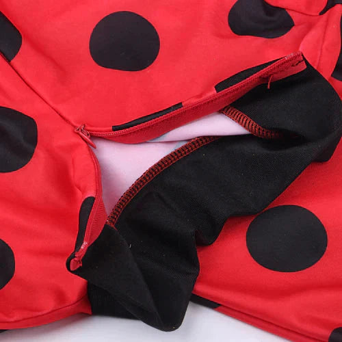 Fantasia Ladybug Com Peruca e Acessório de Brinde